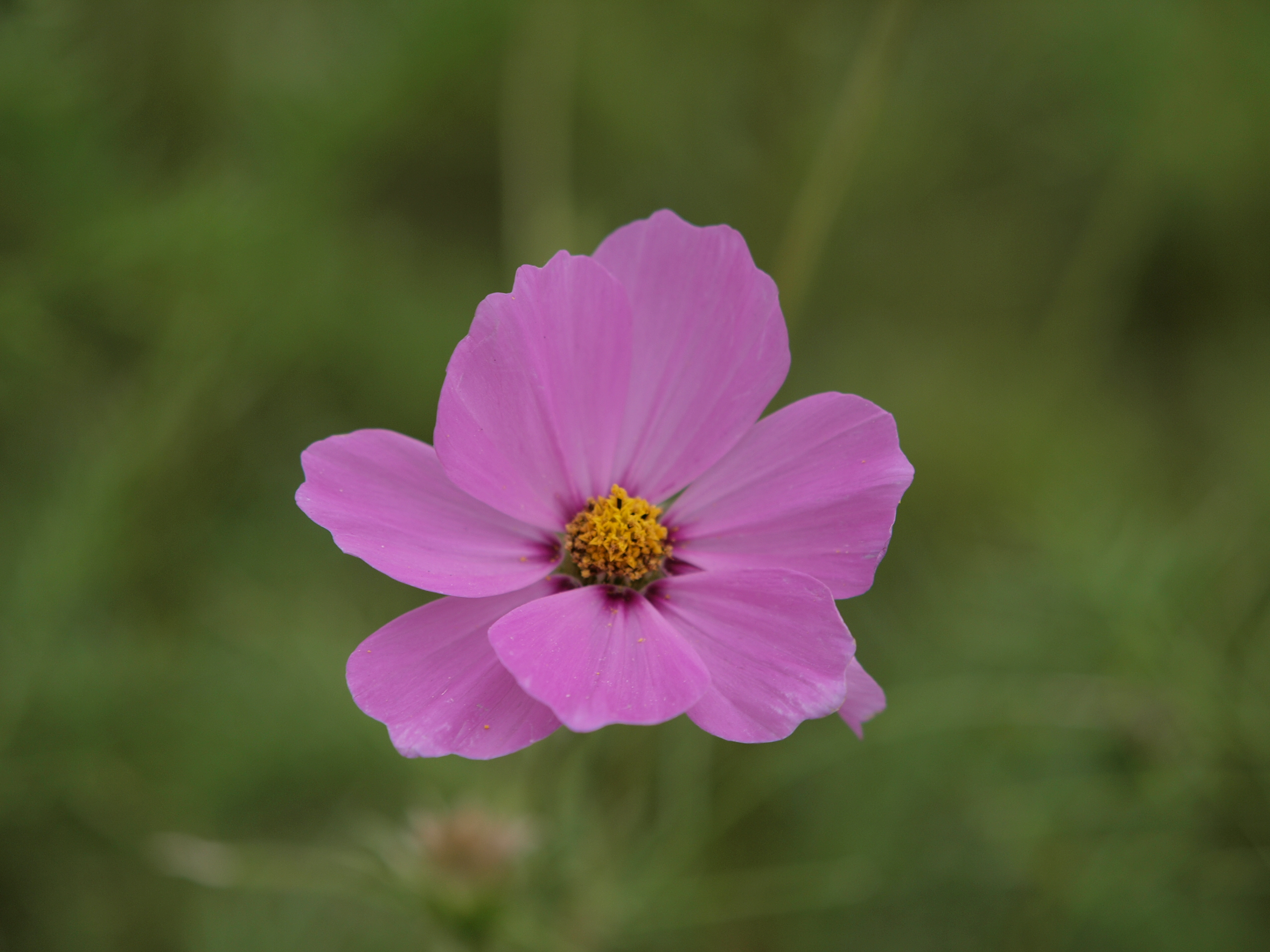 PB031991.JPG